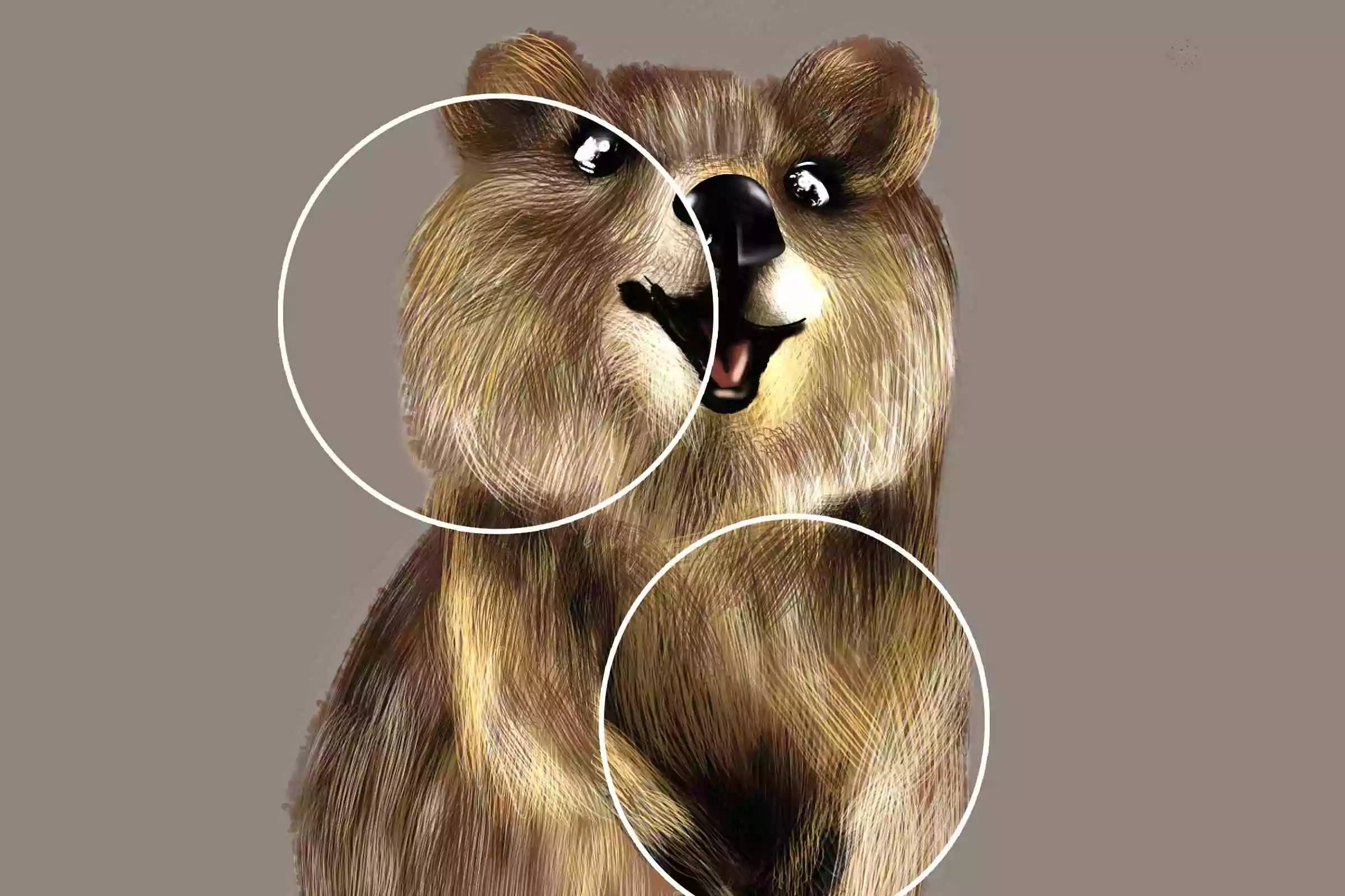 Fabulous Fur Brush Pack 4 fabulous fur brush pack3