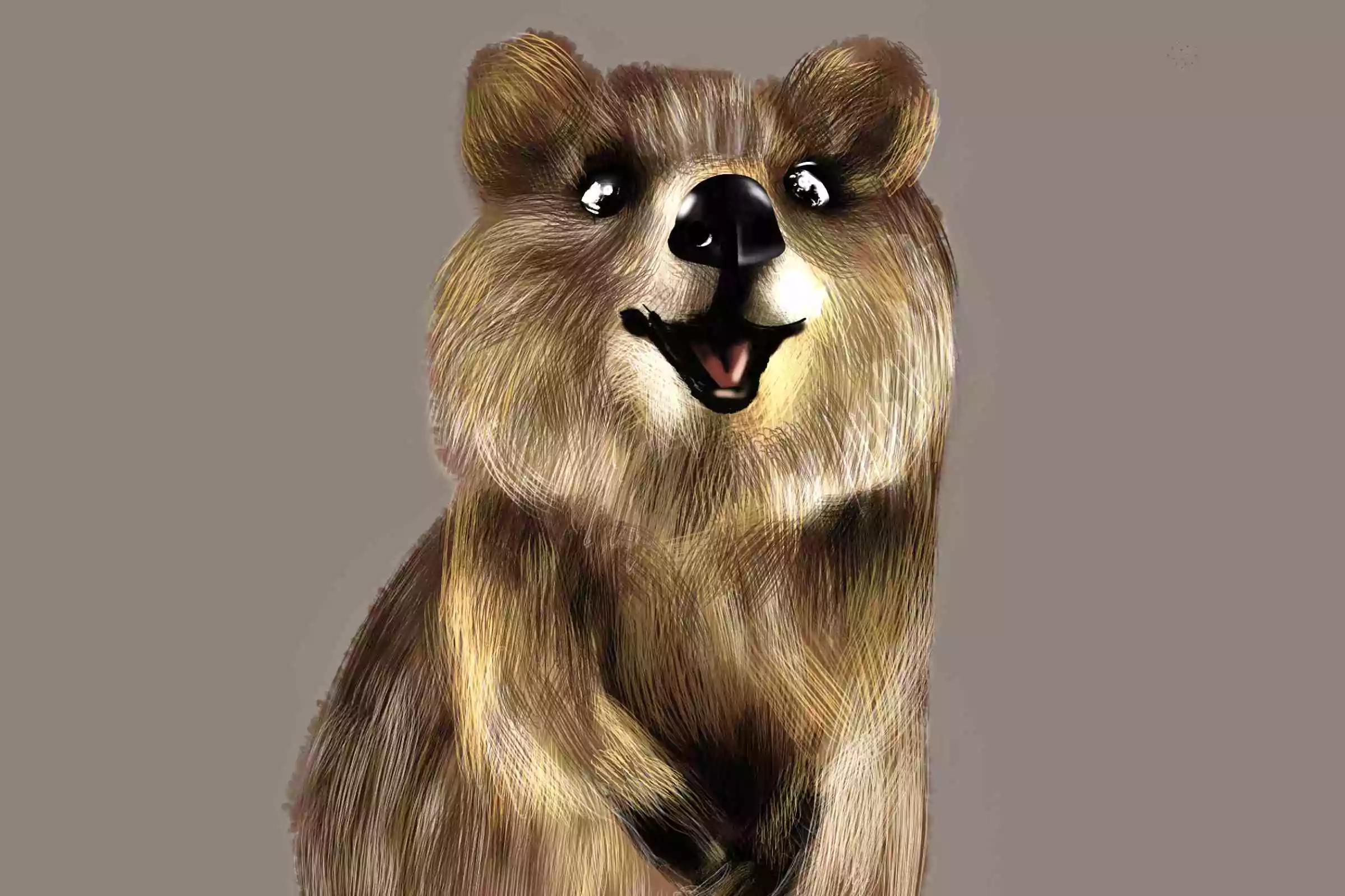 Fabulous Fur Brush Pack 6 fabulous fur brush pack5