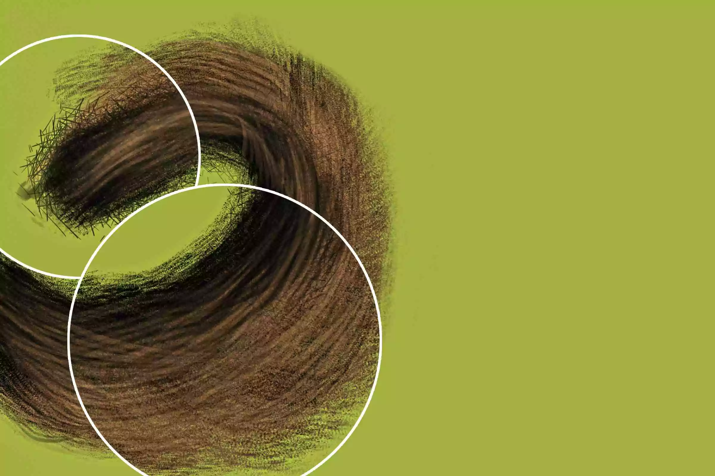 Fantastic Fur Brush Pack 5 fantastic fur brush pack4