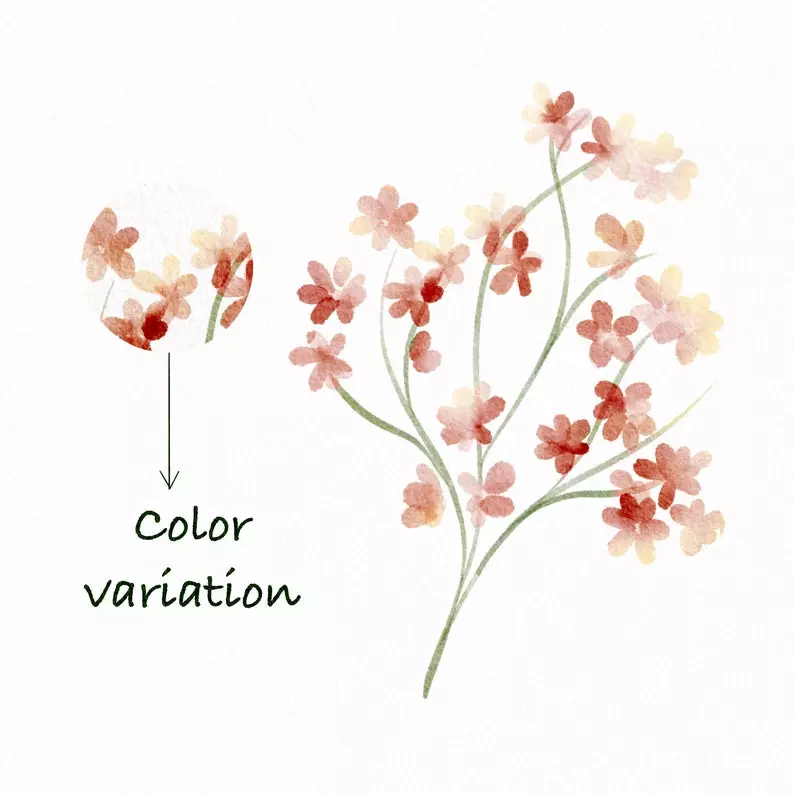 Floral Watercolor Procreate Brushes Vol. 14 8 floral watercolor procreatebrushes vol146