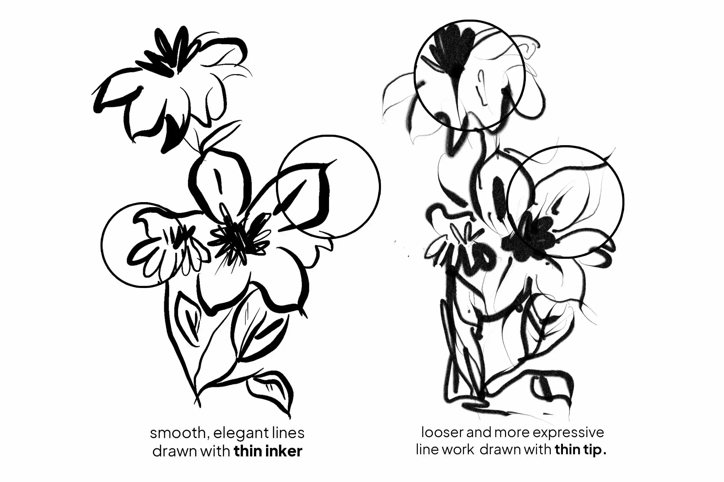 Ink Compilation Brushes Vol 2 5 ink compilation brushes vol 25