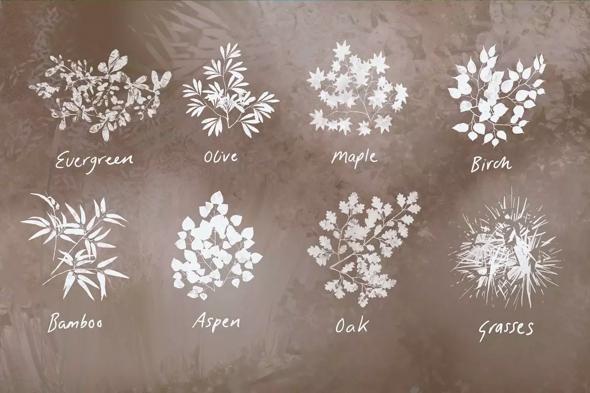 Nature Studio Procreate Brushes 7 nature studio procreate brushes6