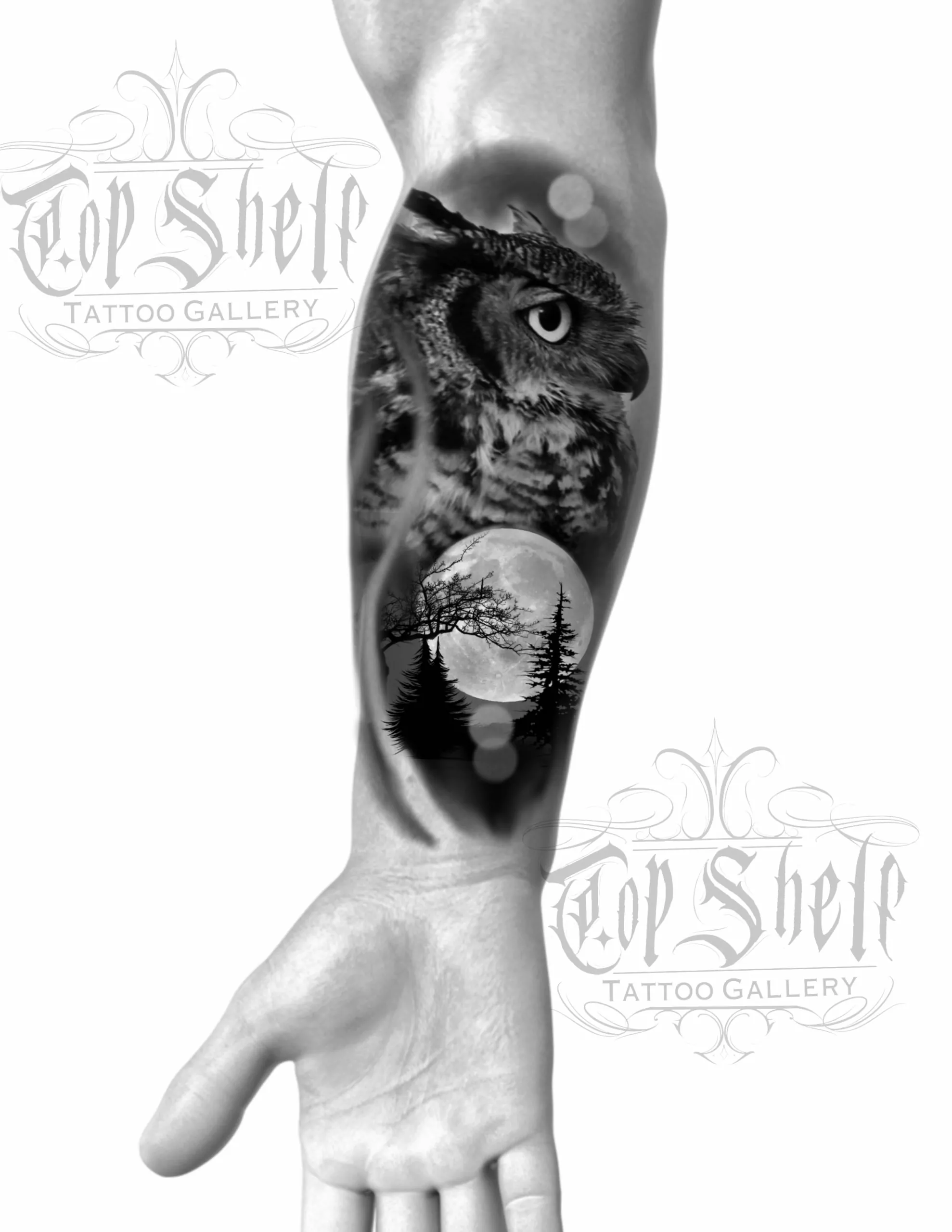 Procreate Tattoo Brushes Birds Of Prey 5 procreate tattoo brushes birds of prey4