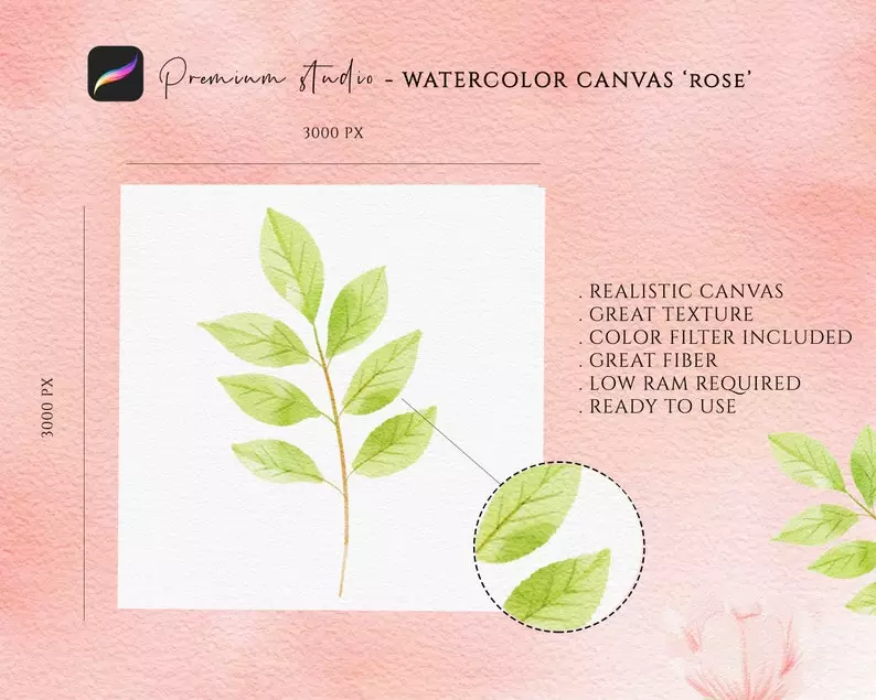 Procreate Watercolor Paper Canvas - Rose 5 procreate watercolor paper canvas rose3