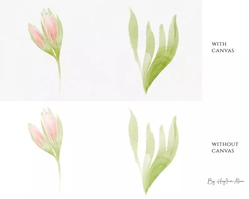 Procreate Watercolor Paper Canvas - Rose 7 procreate watercolor paper canvas rose5