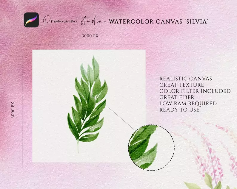 Procreate Watercolor Paper Canvas - SILVIA 5 procreate watercolor paper canvas silvia3
