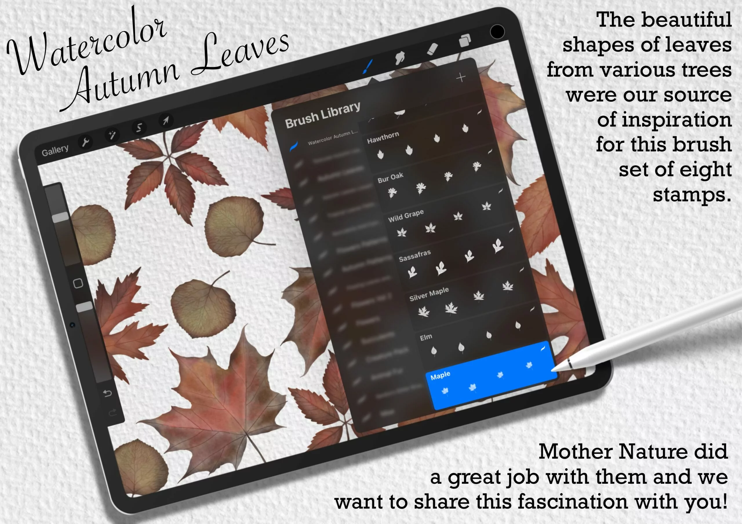 Watercolor Autumn Leaves Brush Pack 4 watercolor autumn leaves brush pack3