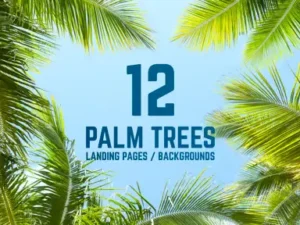 cover image 12 palm trees against blue sky backgrounds