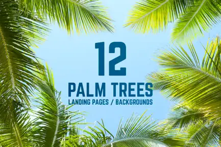 12 Palm Trees Against Blue Sky Backgrounds