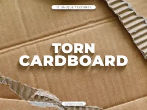 cover image 12 torn cardboard textures