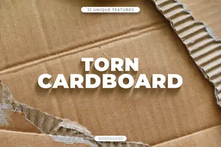 12 Torn Cardboard Textures