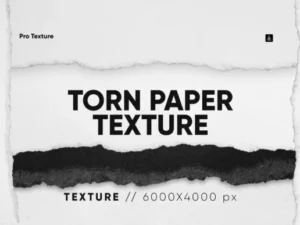 cover image 20 torn paper textures hq