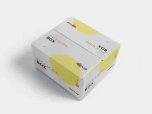 cover image 5 packaging box mockups
