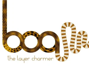cover image bao boa