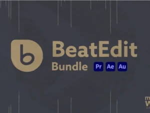 cover image beatedit bundle 2