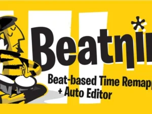 cover image beatnik