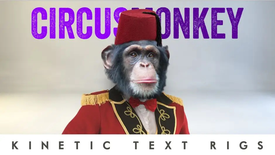 CircusMonkey