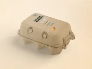 cover image egg box mockups