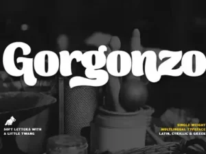 cover image gorgonzo