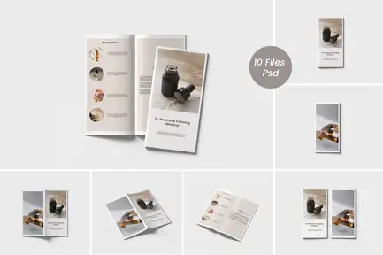 High Quality DL Brochure Catalog Mockup