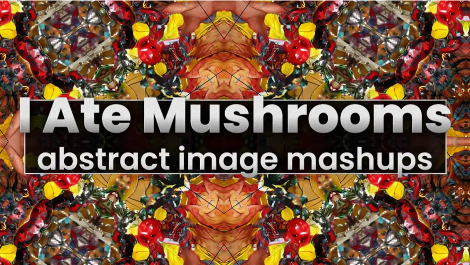 I Ate Mushrooms 1 cover image i ate mushrooms 1
