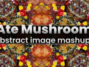 cover image i ate mushrooms