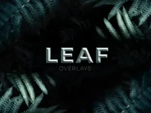 cover image leaf overlays