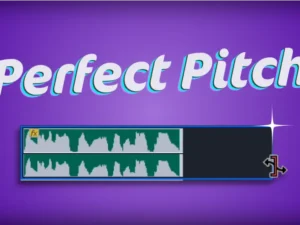 cover image perfect pitch