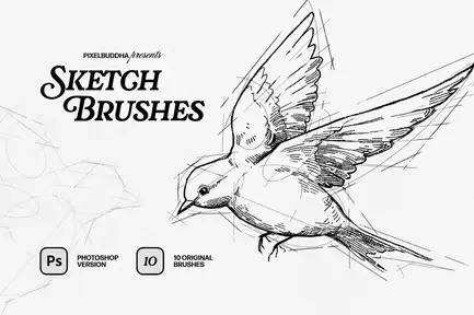 SKETCHER Sketch Brushes for Photoshop