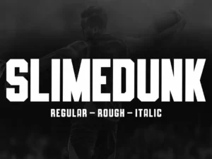 cover image slimedunk