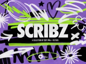 cover image scribz markers kit