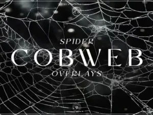 cover image spider cobweb overlays