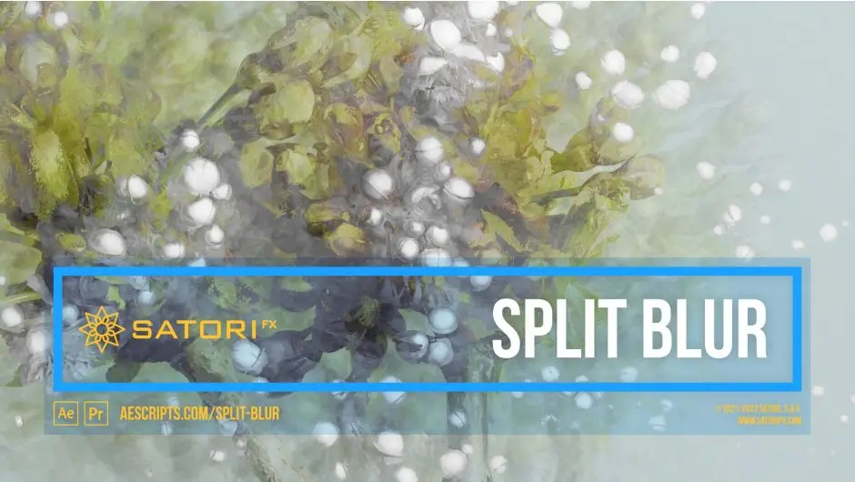 Split Blur