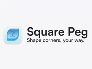 cover image square peg