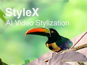 cover image stylex