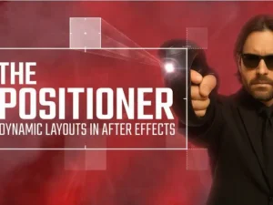 cover image the positioner