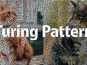 cover image turing pattern