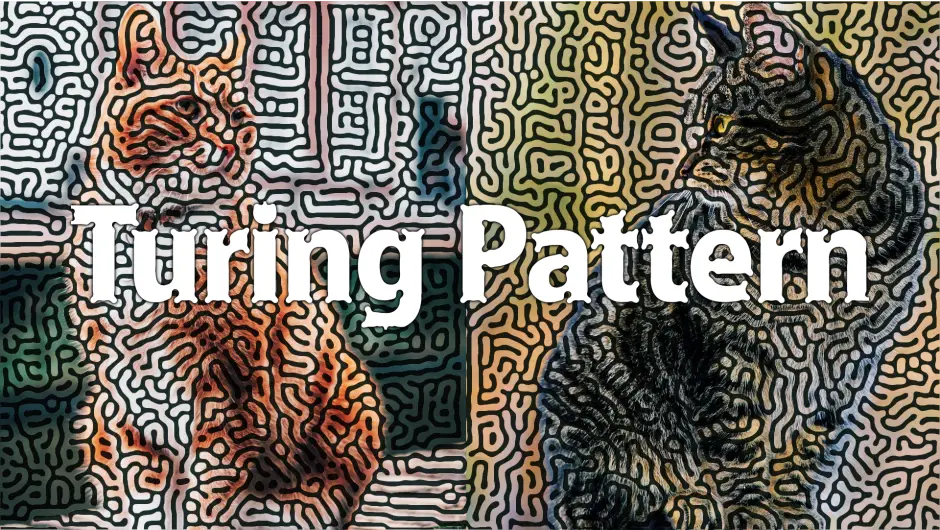 Turing Pattern 1 cover image turing pattern