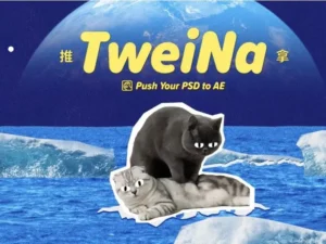 cover image tweina