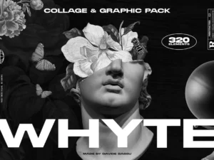 cover image whyte collage and graphics