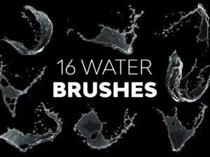 cover image water brushes