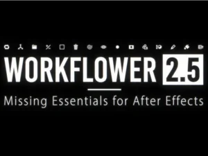 cover image workflower 25