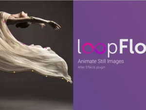cover image loopflow