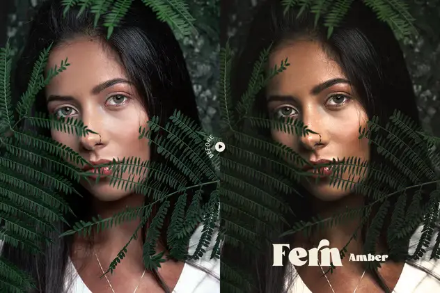 Fern Portrait Action and LUT 3 fern portrait action and lut2