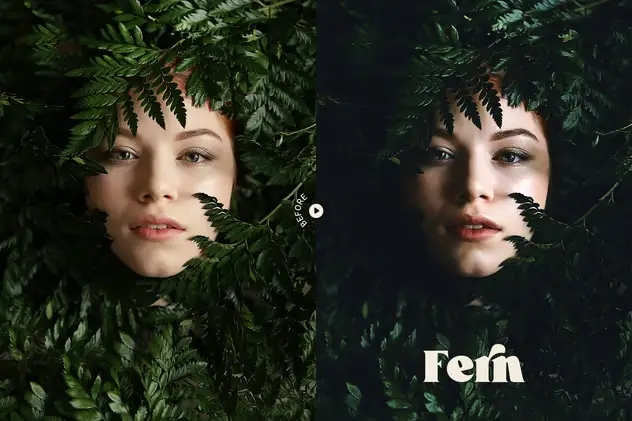 Fern Portrait Action and LUT 8 fern portrait action and lut7