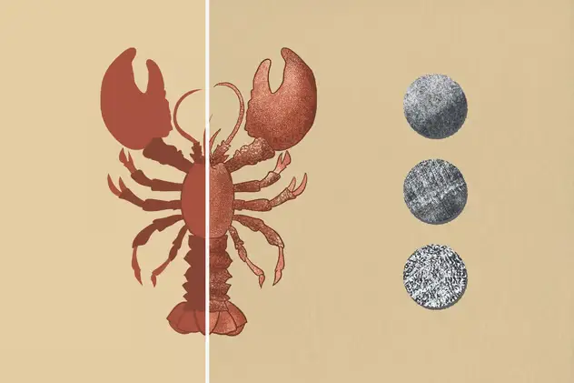 Tinge Texture Photoshop Brushes 5 tinge texture photoshop brushes4