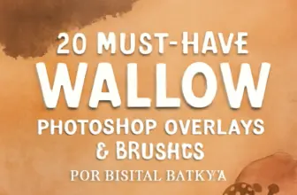 20 must have walllow photoshop overlays brushes for digital 1641