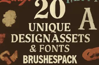 20 unique design assets fonts in brushespack collection par 596