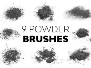 cover image powder brushes