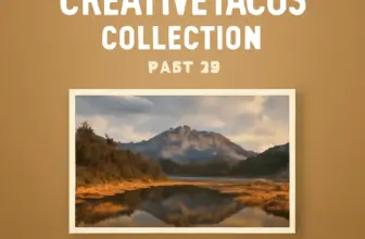 discover the creativetacos collection part 22 20 must have l 929